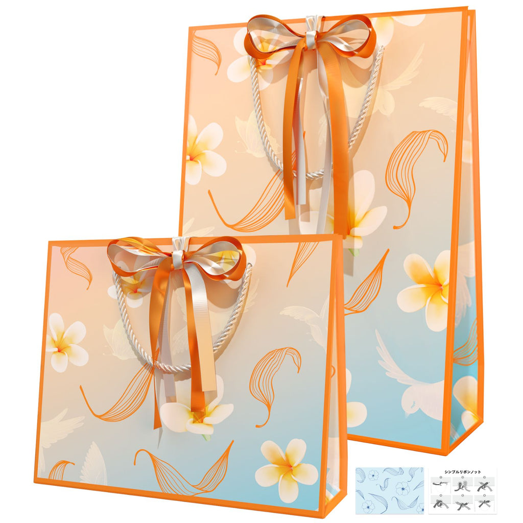 Apitor ギフト袋 2枚入(オレンジ色)